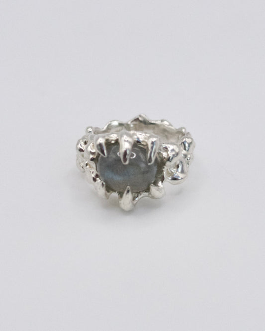 Crater Ring